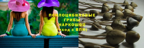тгк Беломорск